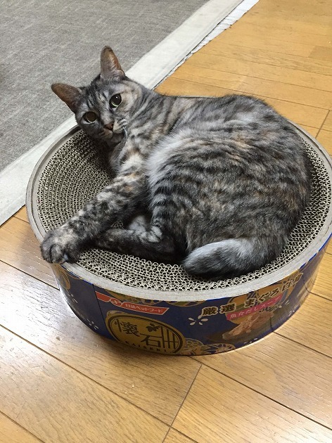 うれしいプレゼント