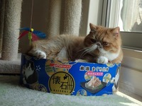 グルーミングは この上で❤️