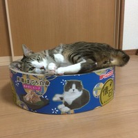 誰にも渡すもんか！