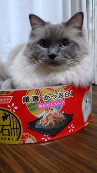 お気に入り😸