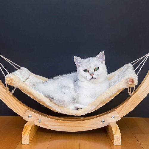 みんながやってる猫の【熱中症対策】猫のベッド、ポイントはこの3つ！