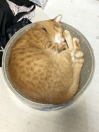 ぼくのお気に入り