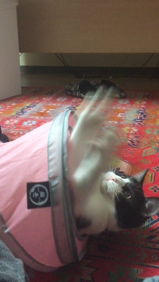 隠れながら戦う