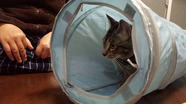 大好きなトンネル♥