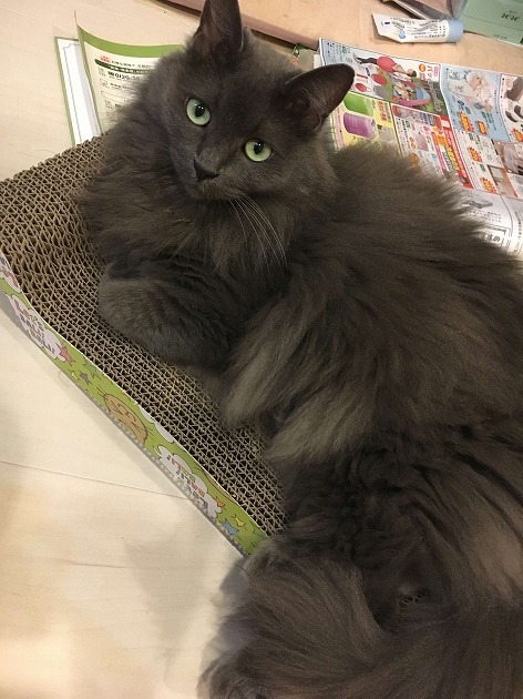 1番のお気に入り♥️