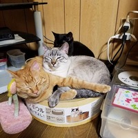 気持ちいいのは分かるけど…