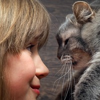 気がついてね！愛猫から飼い主さんへのラブラブメッセージはこの3つ