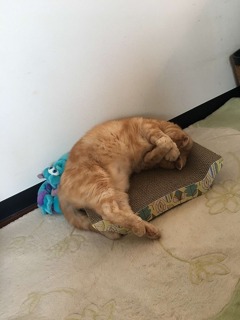 はみ出ててます