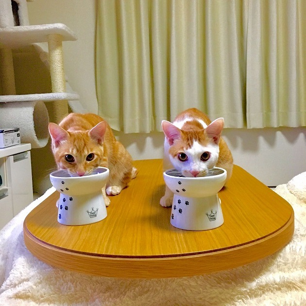 いただきます♡