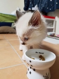 お腹いっぱい～