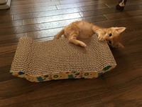 爪とぎ以外の使い方