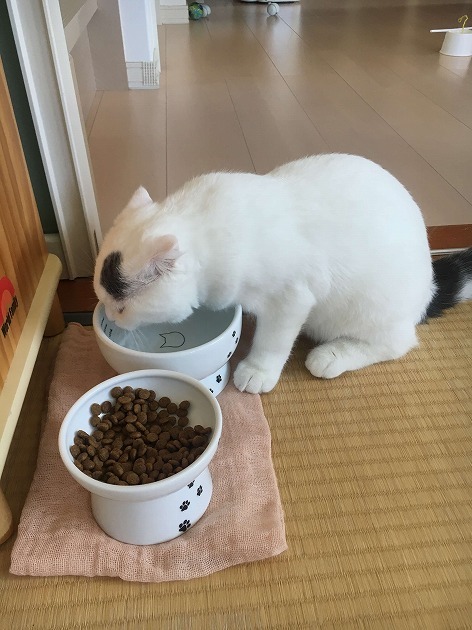 お水もおいしい～♪