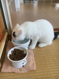 お水もおいしい～♪