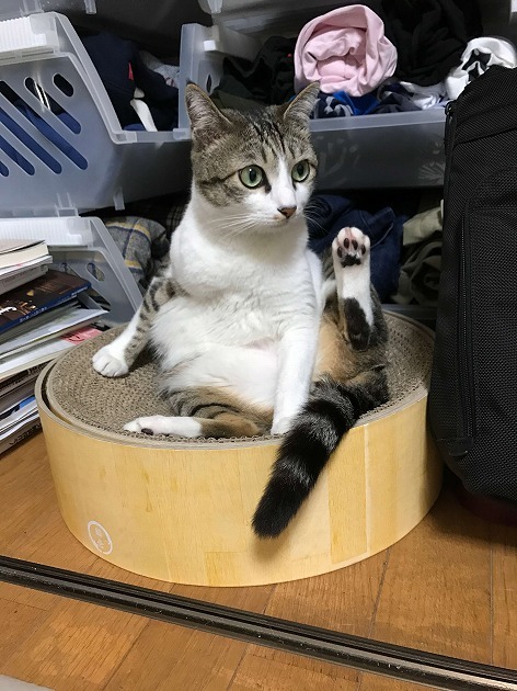 どこ向いてんの？