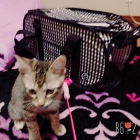 使うのが楽しみ*