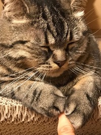 ほんわか～(*ˊ˘ˋ*)｡♪:*°