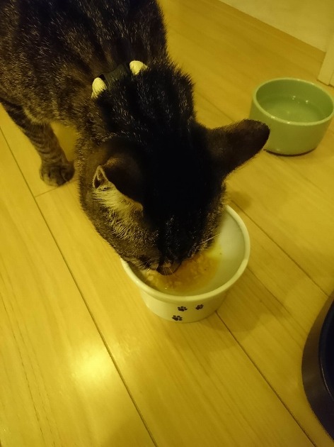 朝ごはんは４時