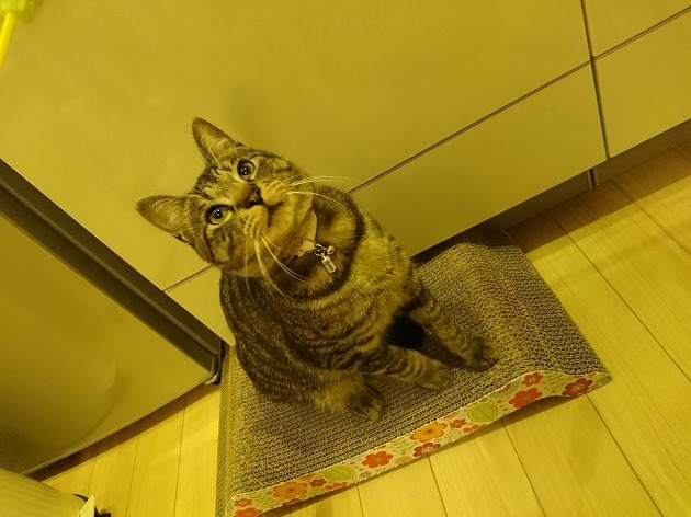 ここが一番落ち着くー