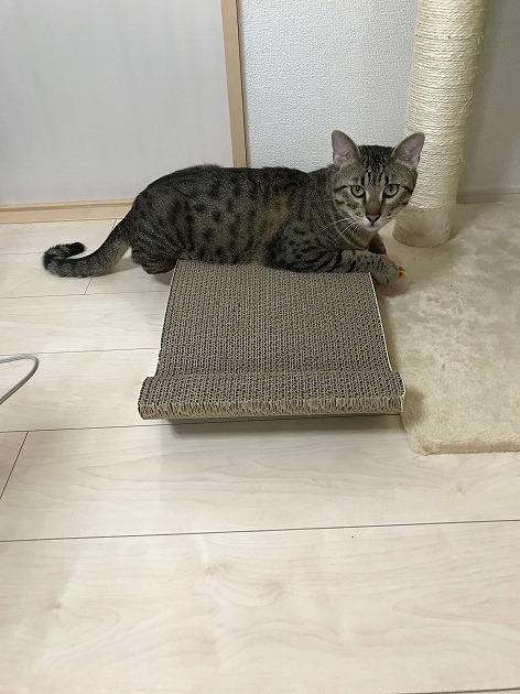 お気に入りの場所