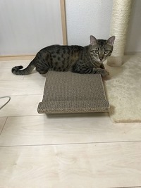 お気に入りの場所