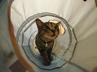 毎日が楽しくてたまらない！