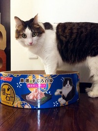 お腹空いたのですか……？