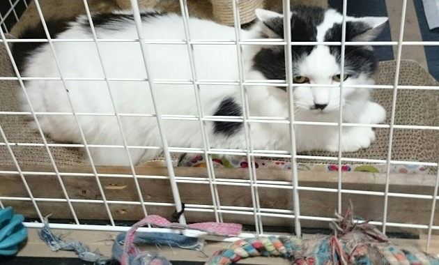 なかなか、良いぜ～‼