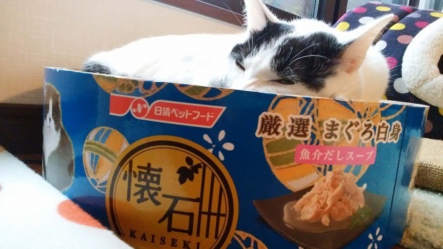 ベッドにします