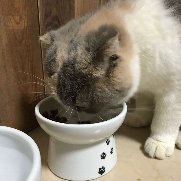 快適なご飯タイム