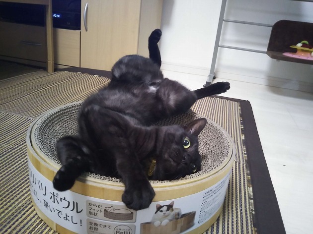 背中痒いの～♪