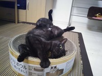 背中痒いの～♪