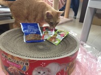 にゃににゃに？