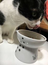 いっぱい食べて大きくなるよ～！