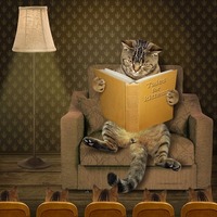 あなたの愛猫はどのタイプ？性格別に考えた猫との距離を縮める方法