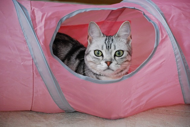 お気に入りの場所　見～つけた！