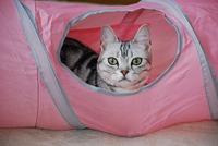 お気に入りの場所　見～つけた！