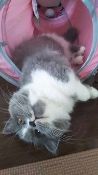 トンネルを抜けるとそこは…