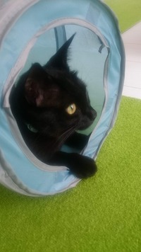 なかなかいい狭さですね