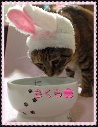 飲みやすいにゃ～