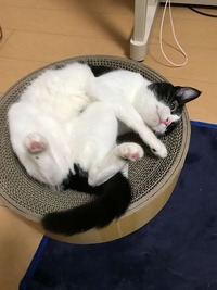 ナチュラルフィット❤️