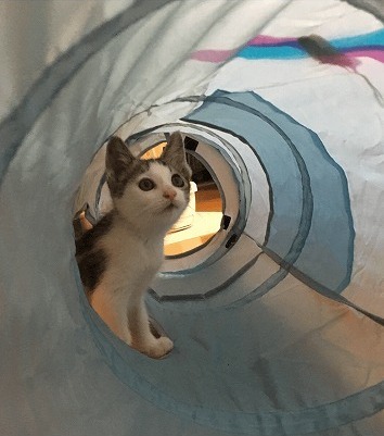 水色の空と虹みたい