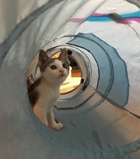 水色の空と虹みたい