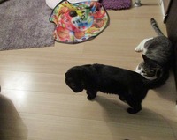 遊びつくして…