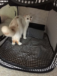 ここ落ち着くわ～♪