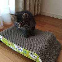 遊ぶから邪魔しないでよ