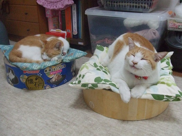 座布団を敷いてもらった