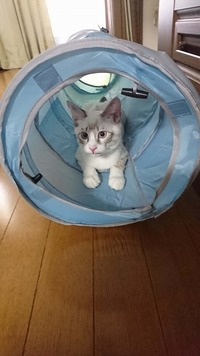 お気に入りの場所