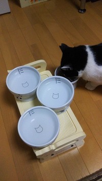 全部僕のだよ！(誰も取りませんよ)