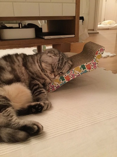 どういう使い方？