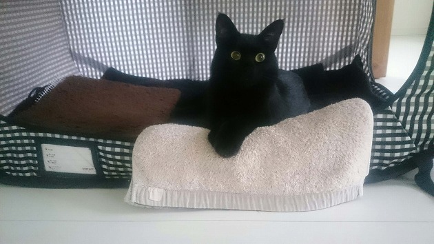 僕の落ち着く場所